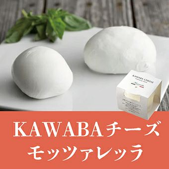 KAWABAチーズ モッツァレッラ 125g (ご予約品：7月5日お届け、遠方6日