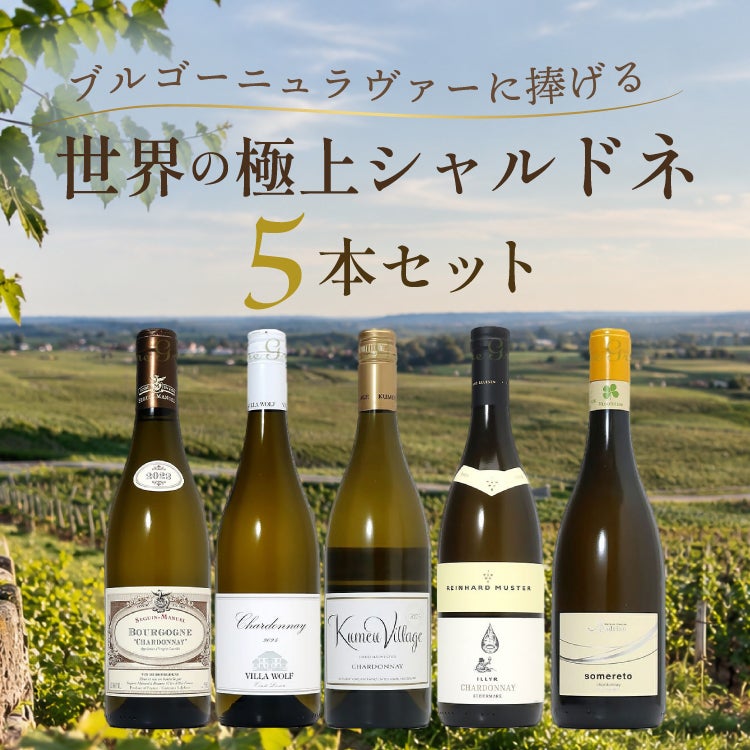 ブルゴーニュラヴァーに捧げる！世界の極上シャルドネ5本セット